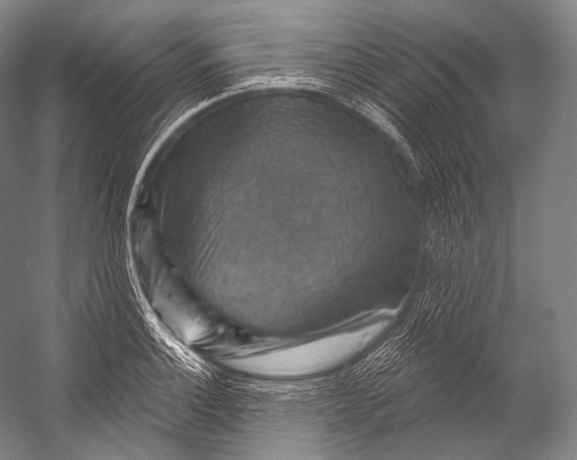 X0000052571132200507221455