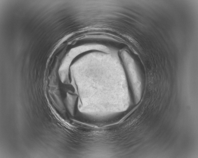 X0000052571134200507221455