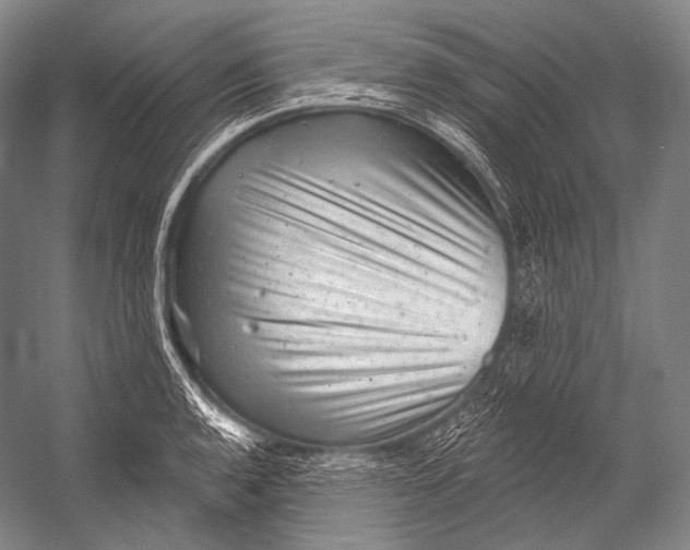 X0000052571136200507221455