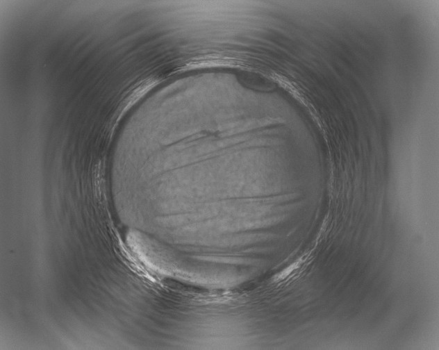 X0000052571137200507221455