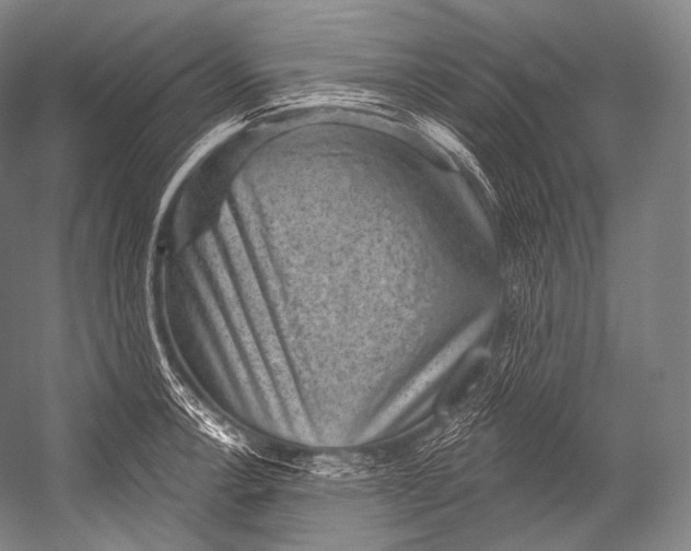 X0000052571138200507221455