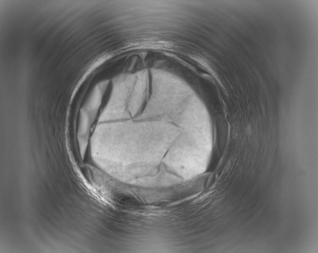 X0000052571139200507221455