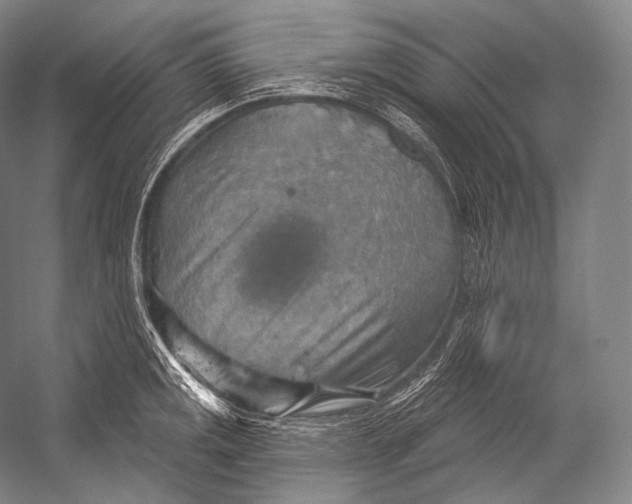 X0000052571141200507221455