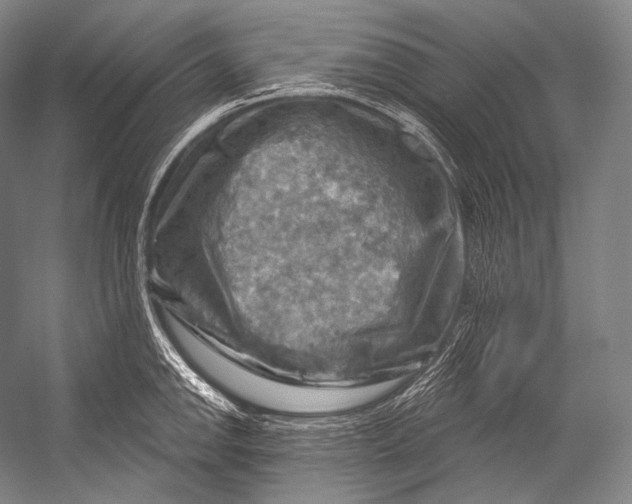 X0000052571142200507221455