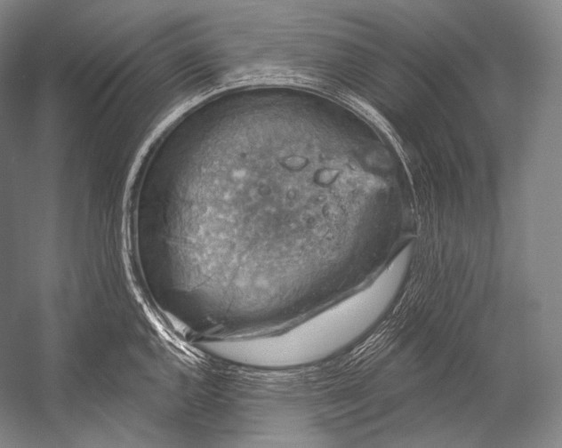 X0000052571144200507221455