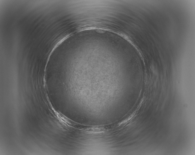 X0000052571145200507221455