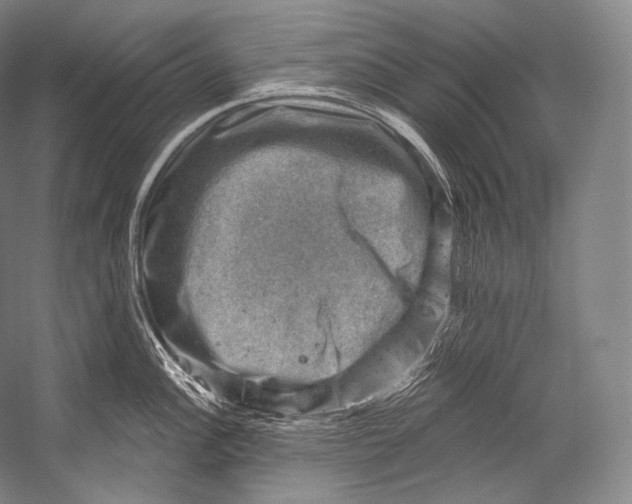 X0000052571148200507221455