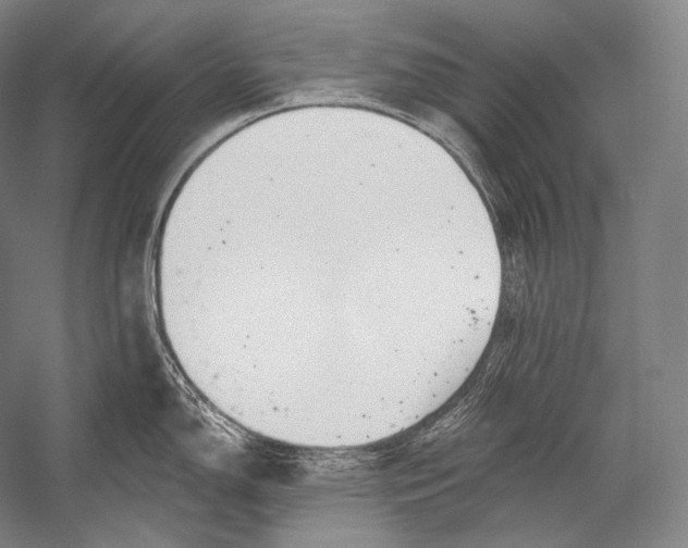 X0000052571150200507221455