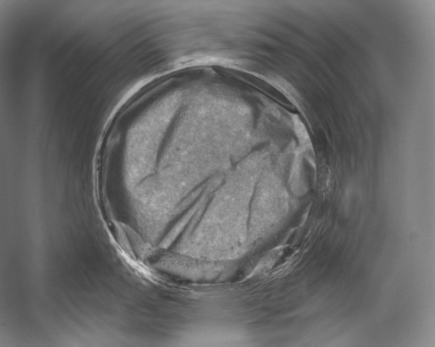 X0000052571151200507221455