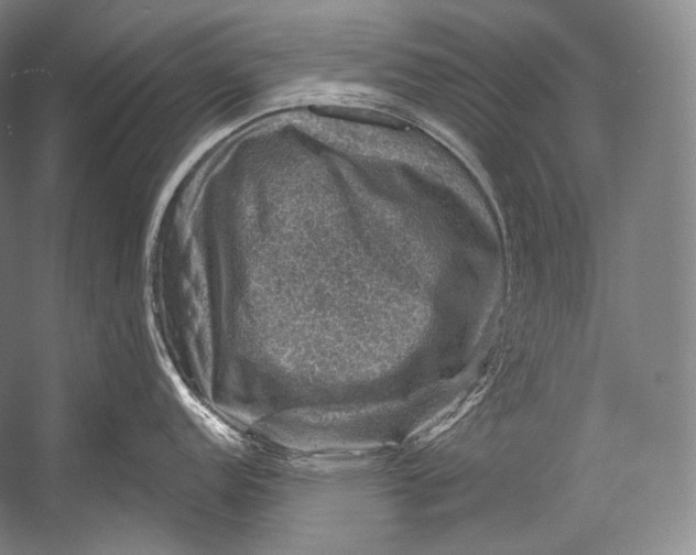 X0000052571152200507221455