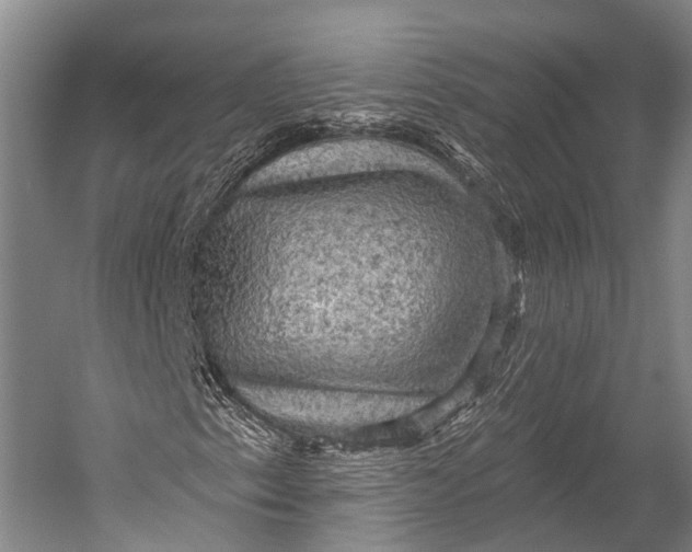 X0000052571153200507221454