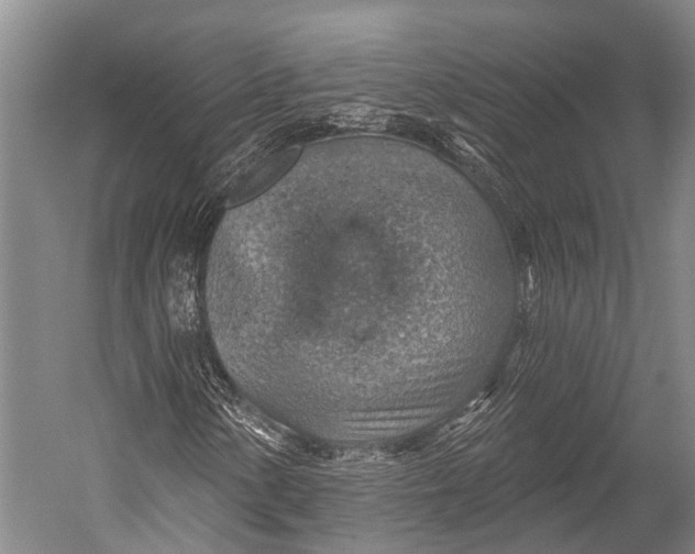 X0000052571154200507221454