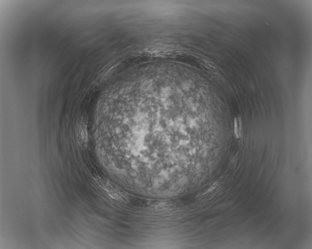 X0000052571155200507221454