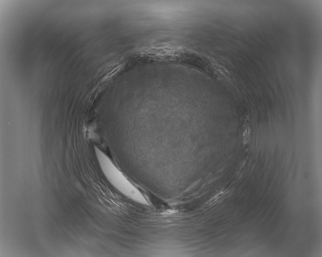 X0000052571156200507221454