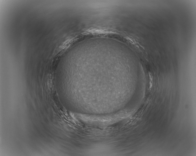 X0000052571157200507221454