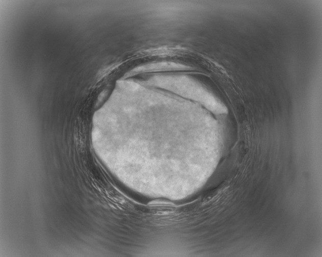 X0000052571158200507221454