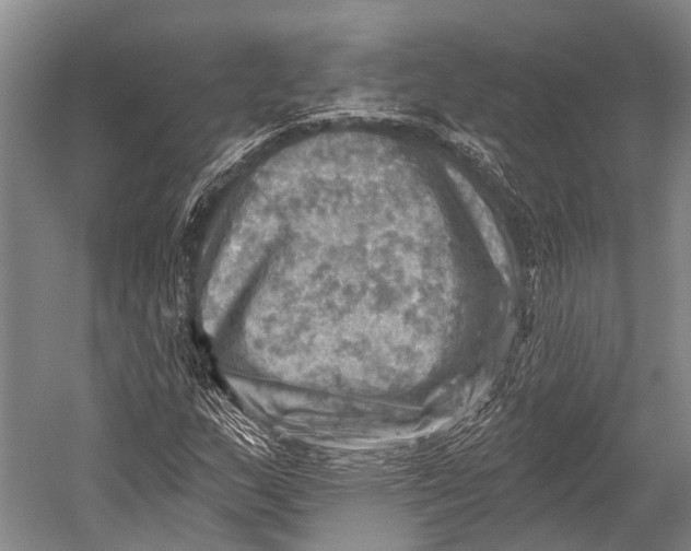 X0000052571159200507221454