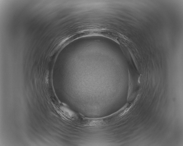 X0000052571161200507221454