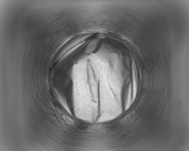 X0000052571162200507221454