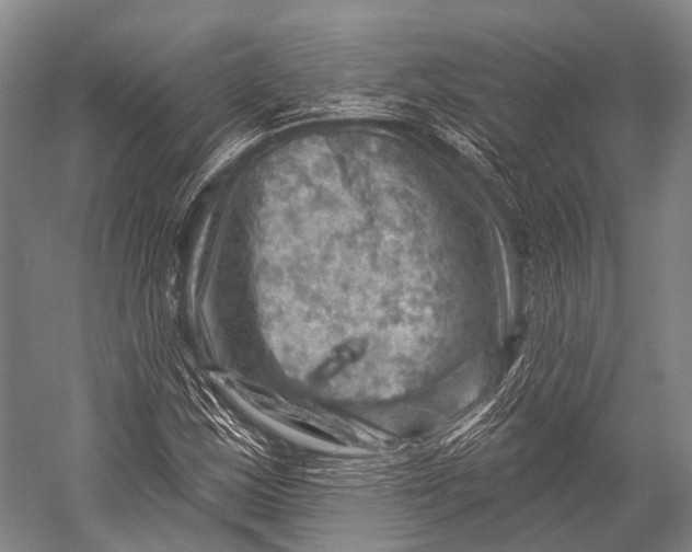 X0000052571163200507221454