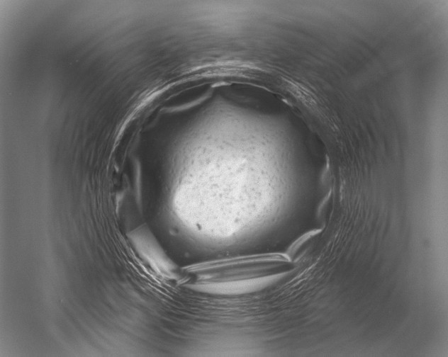 X0000052571164200507221454