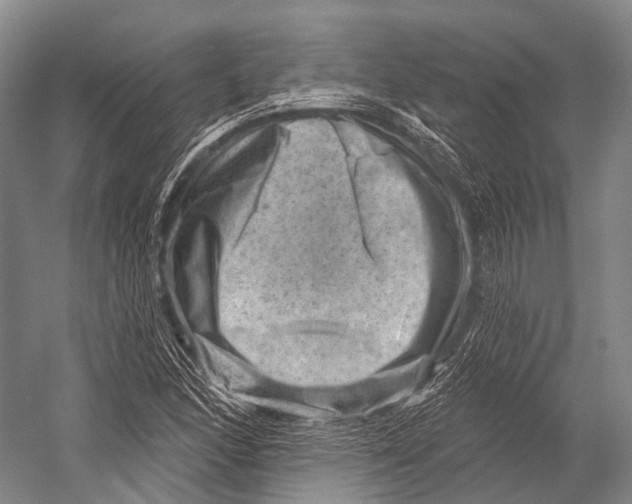 X0000052571166200507221454