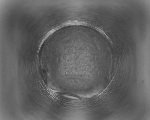 X0000052571167200507221454