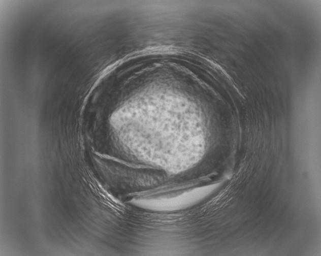 X0000052571168200507221454