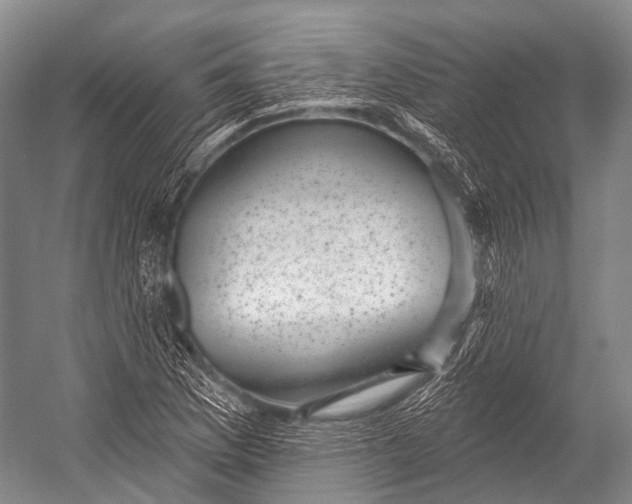 X0000052571169200507221454