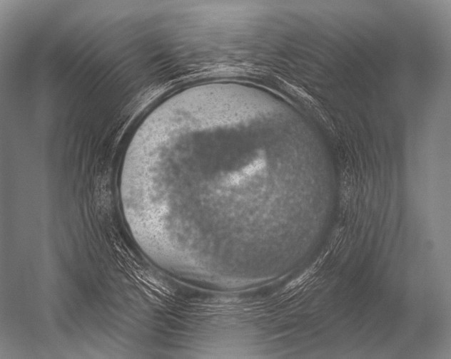 X0000052571170200507221454