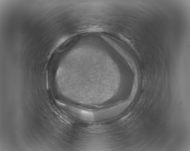 X0000052571171200507221454