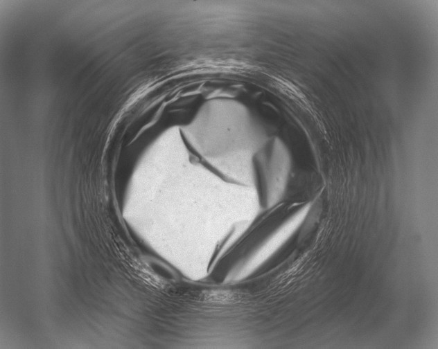 X0000052571172200507221454