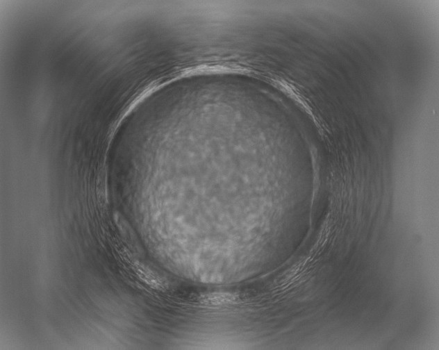 X0000052571173200507221454