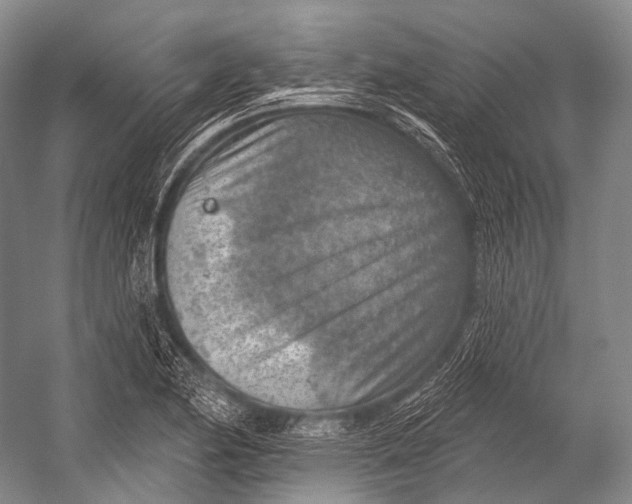 X0000052571174200507221454