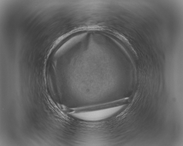 X0000052571176200507221454