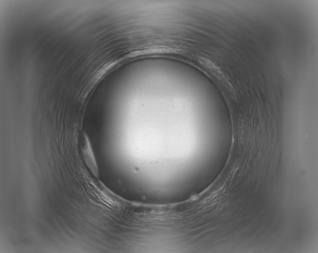 X0000052571177200507221454