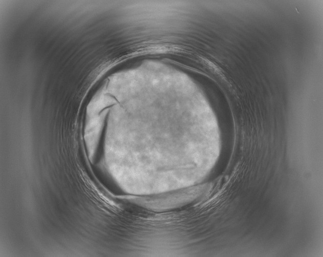 X0000052571178200507221454