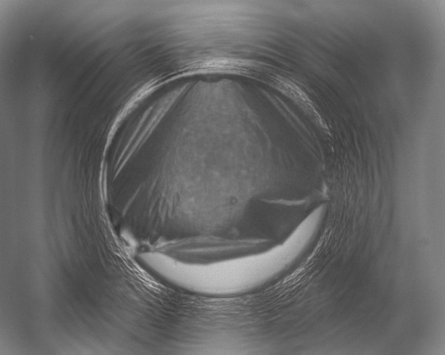 X0000052571180200507221454