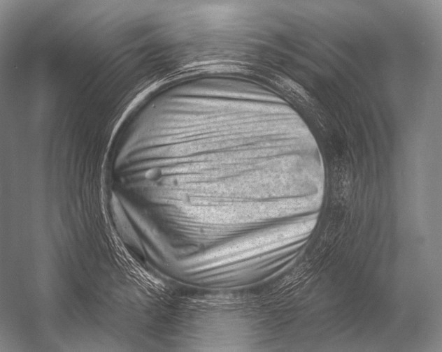 X0000052571182200507221454