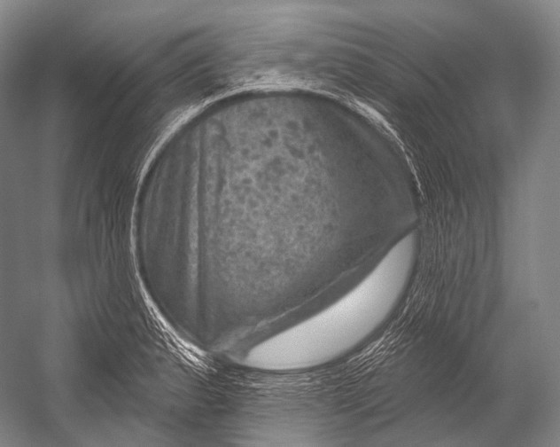 X0000052571183200507221454