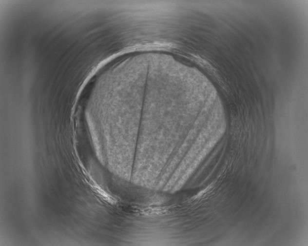 X0000052571184200507221454