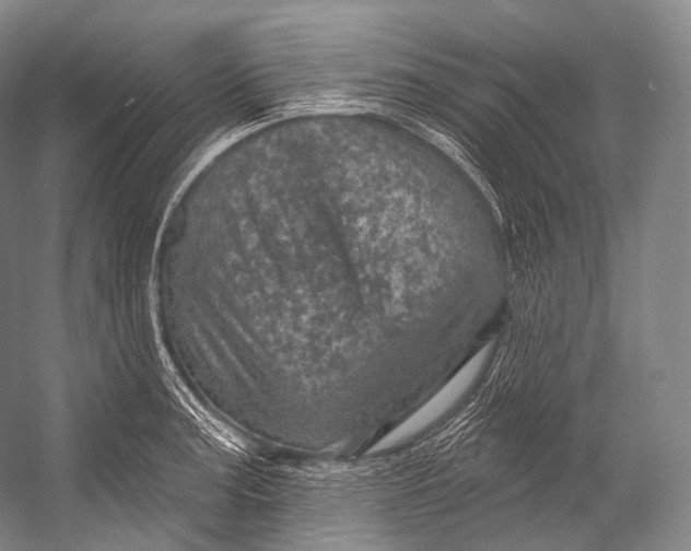 X0000052571187200507221454