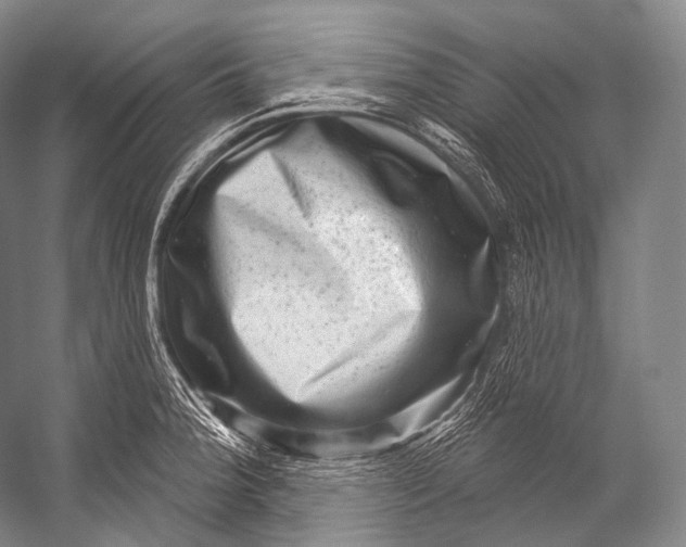 X0000052571188200507221454