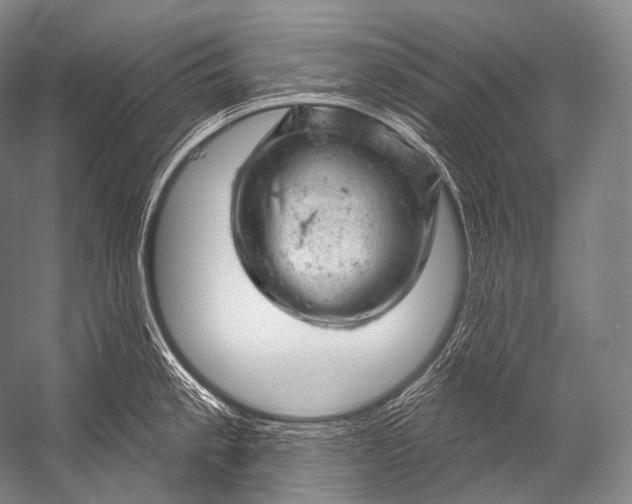 X0000052571189200507221454