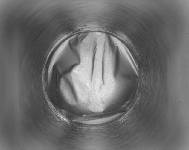 X0000052571190200507221454