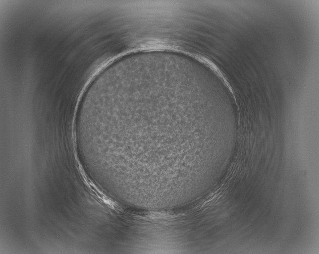 X0000052571191200507221454