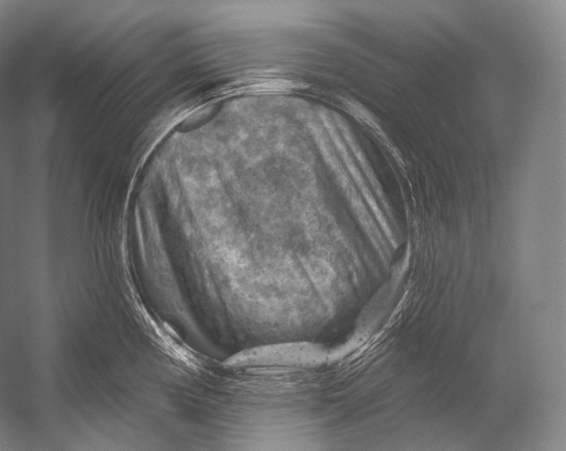 X0000052571194200507221454