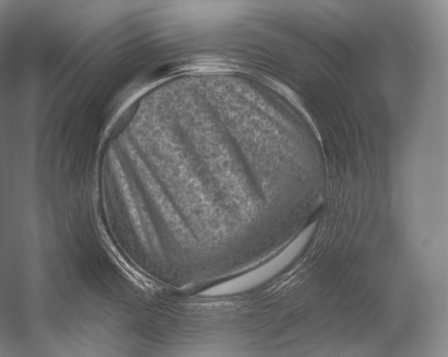 X0000052571195200507221454