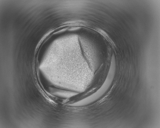 X0000052571196200507221454