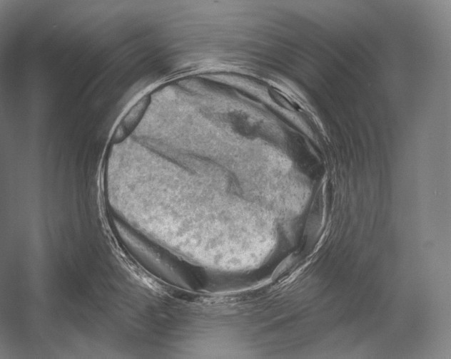 X0000052571198200507221454